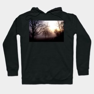 Winters Landscape Hoodie